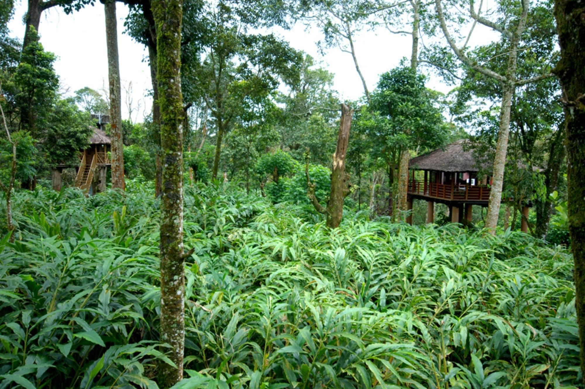 Carmelia Haven Resort Thekkady Dış mekan fotoğraf