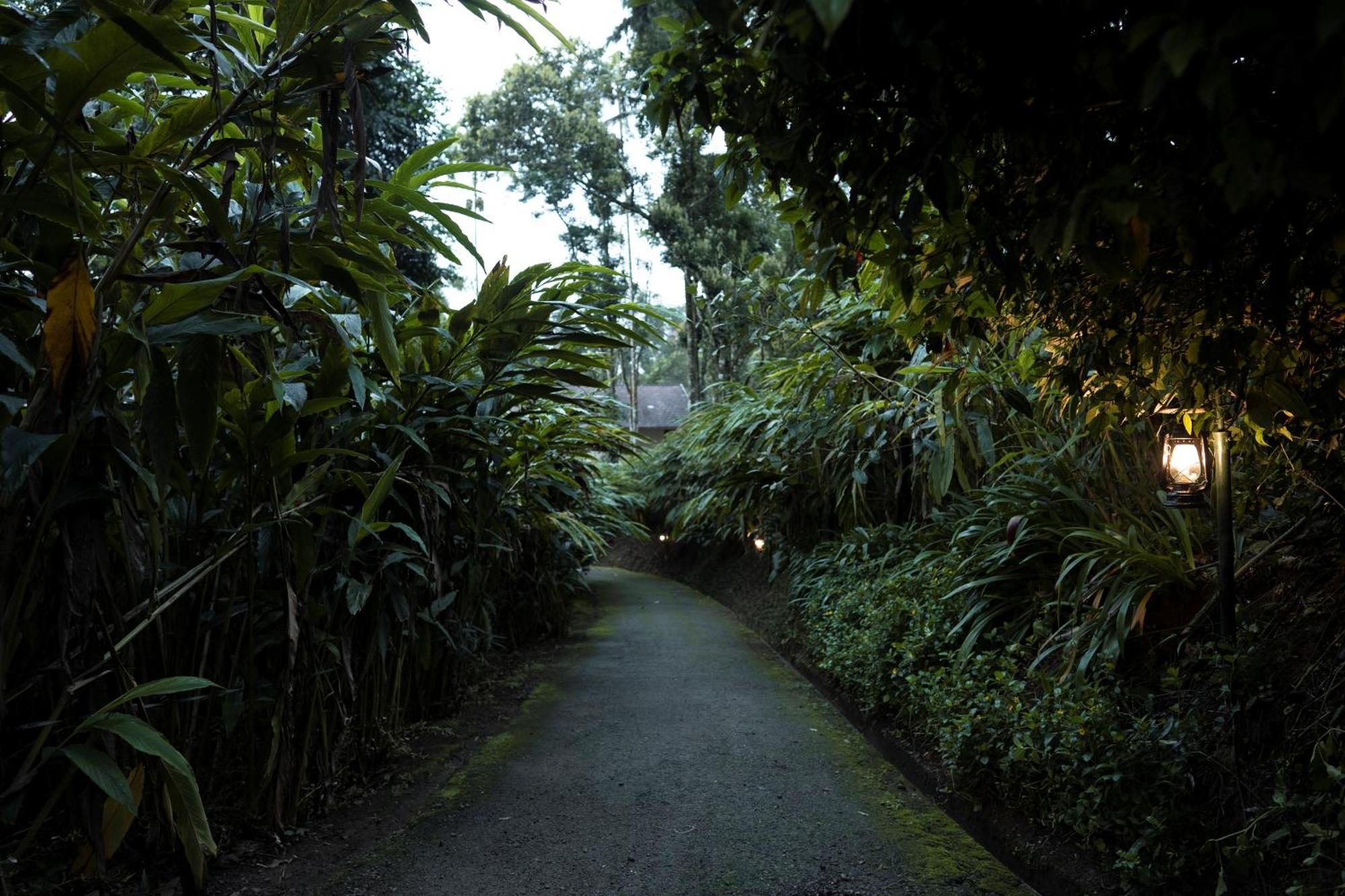 Carmelia Haven Resort Thekkady Dış mekan fotoğraf