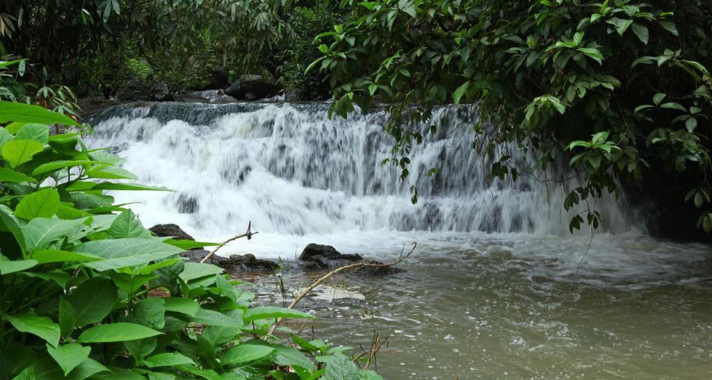 Carmelia Haven Resort Thekkady Dış mekan fotoğraf