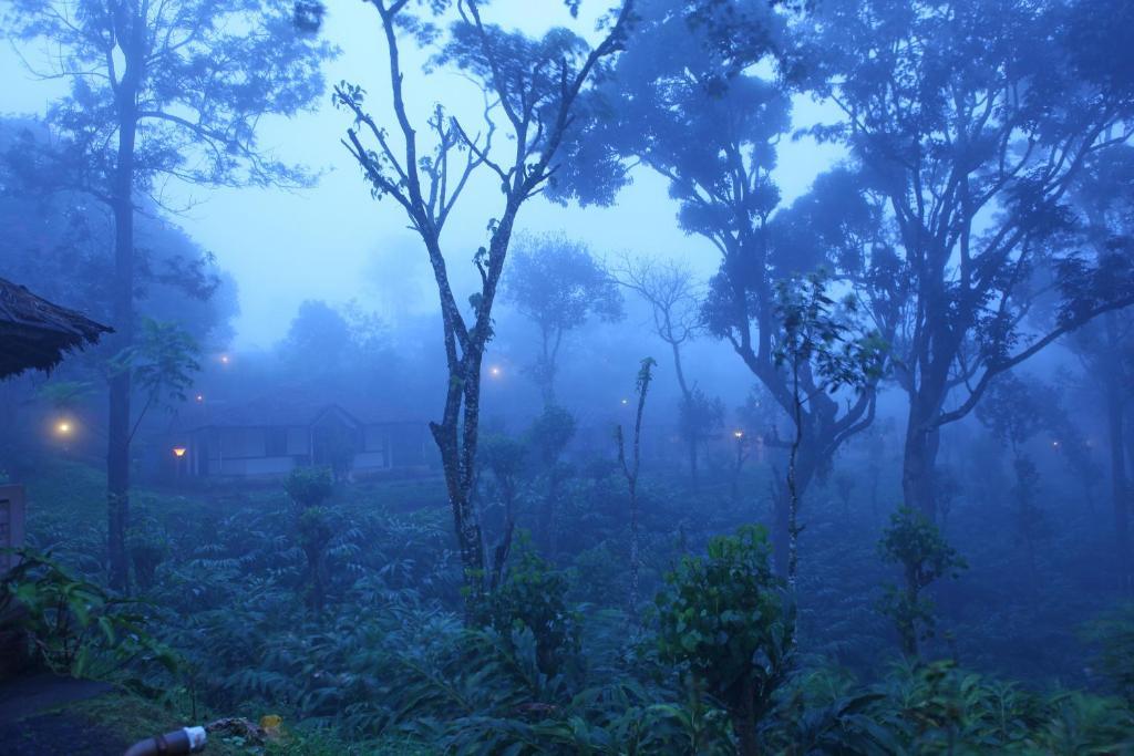 Carmelia Haven Resort Thekkady Dış mekan fotoğraf