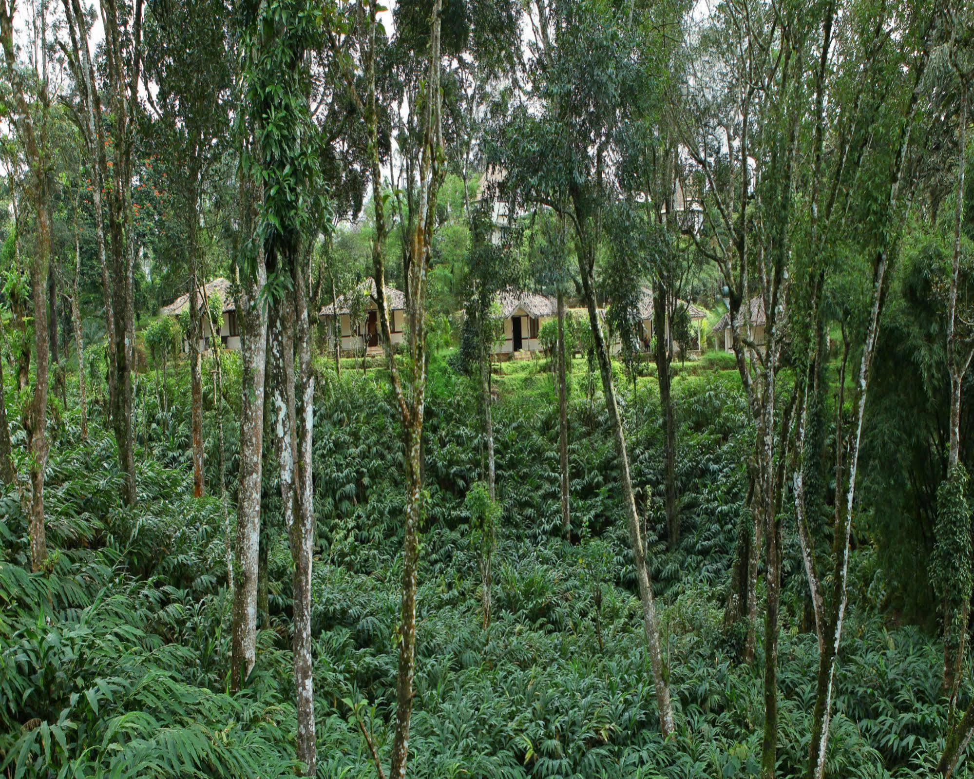 Carmelia Haven Resort Thekkady Dış mekan fotoğraf